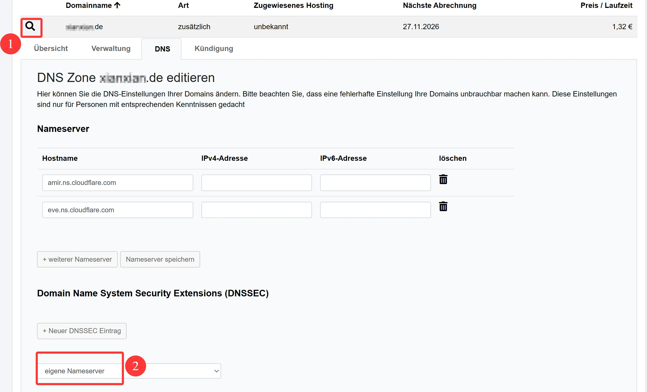 netcup注册域名后如何修改dns服务